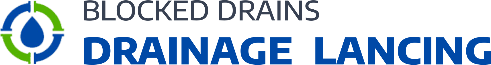 website logo